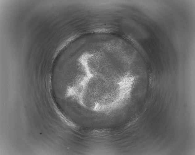 X0000078860725200612041931