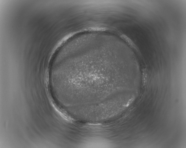 X0000078860726200612041931