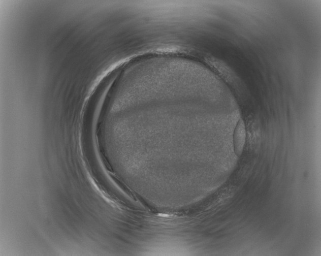 X0000078860728200612041931