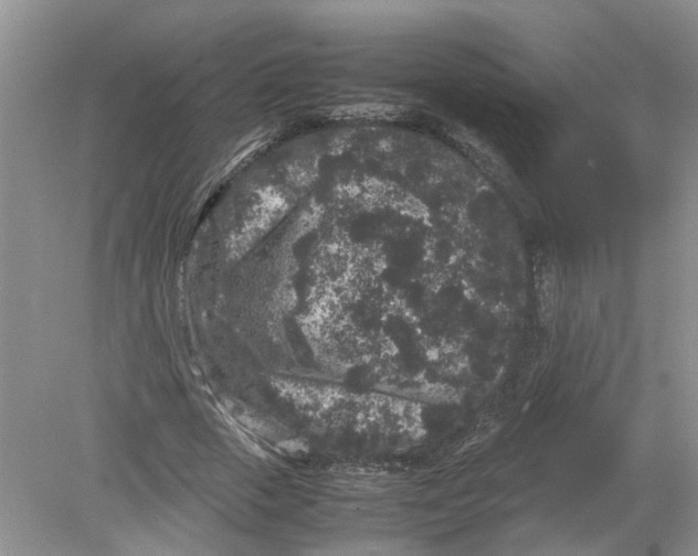 X0000078860729200612041931