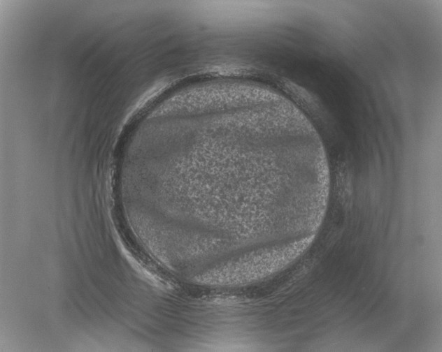 X0000078860730200612041931