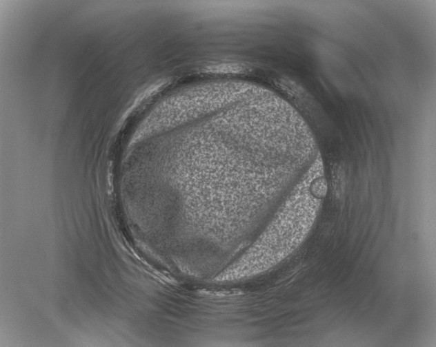 X0000078860731200612041931