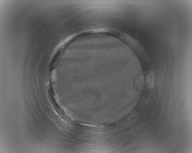 X0000078860732200612041931