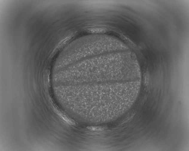 X0000078860733200612041931