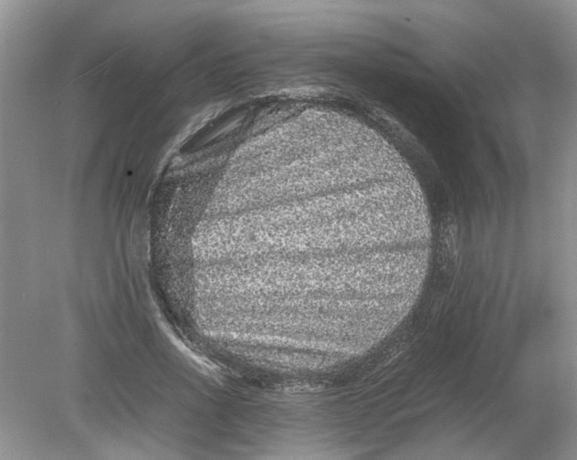 X0000078860734200612041931