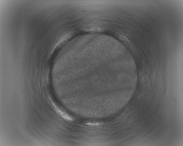 X0000078860735200612041931