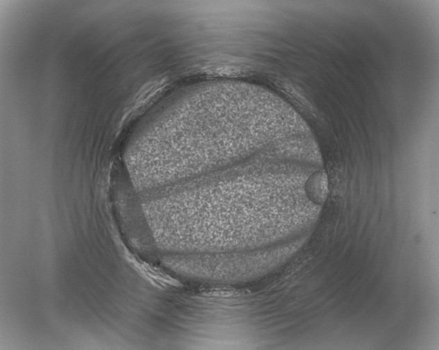 X0000078860738200612041931