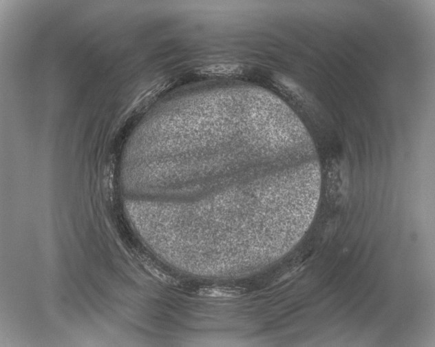 X0000078860739200612041931