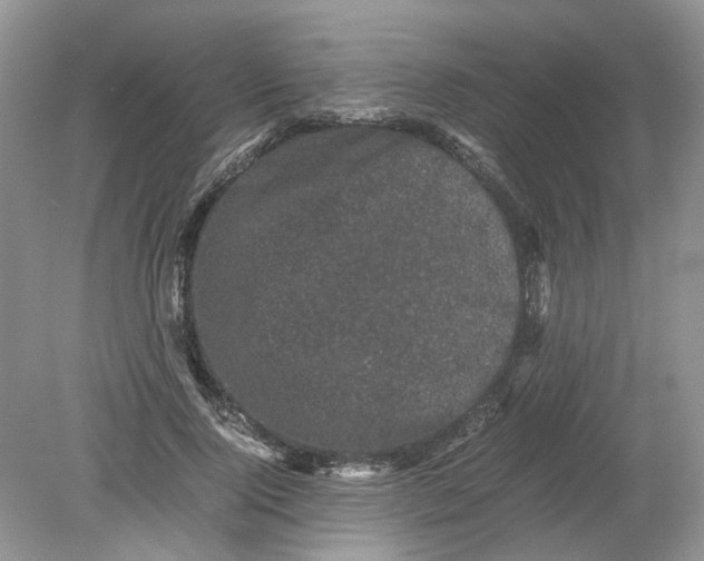 X0000078860740200612041931