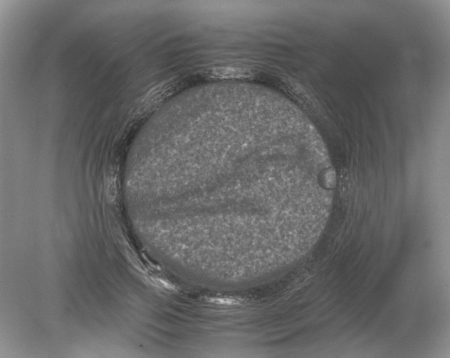 X0000078860741200612041931