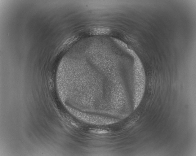 X0000078860743200612041931