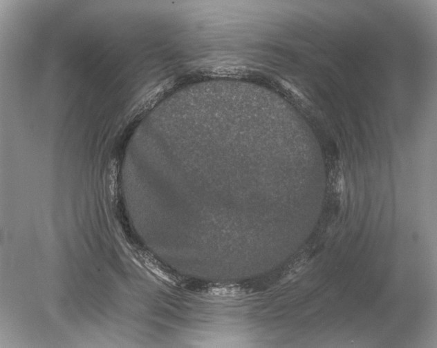 X0000078860744200612041932