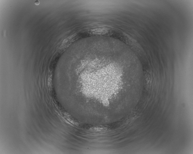 X0000078860745200612041932