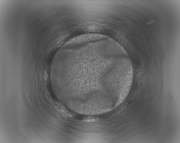 X0000078860746200612041932