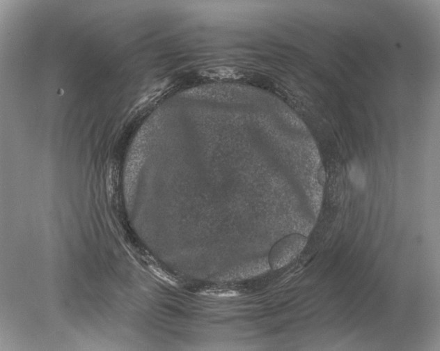 X0000078860747200612041932