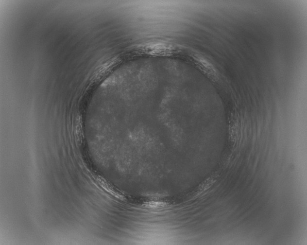 X0000078860748200612041932