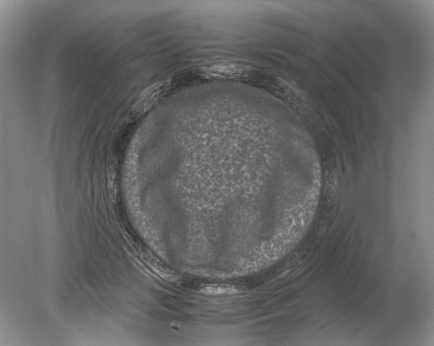 X0000078860749200612041932