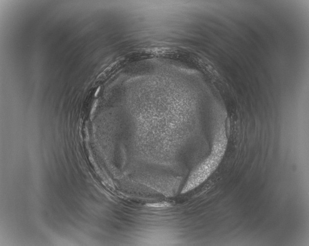 X0000078860750200612041932