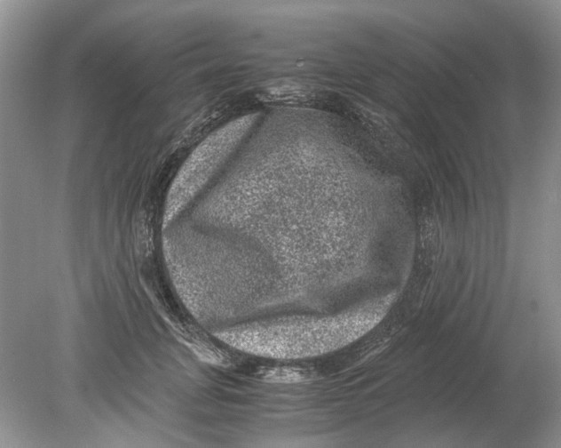 X0000078860751200612041932