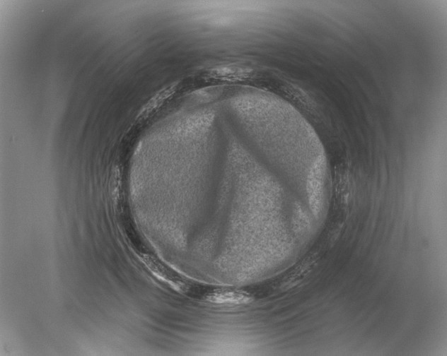 X0000078860752200612041932