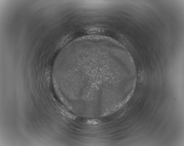 X0000078860753200612041932