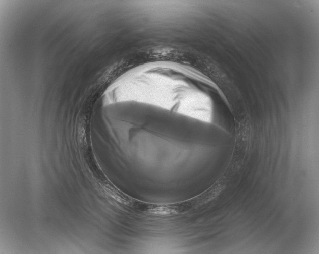 X0000078860754200612041932