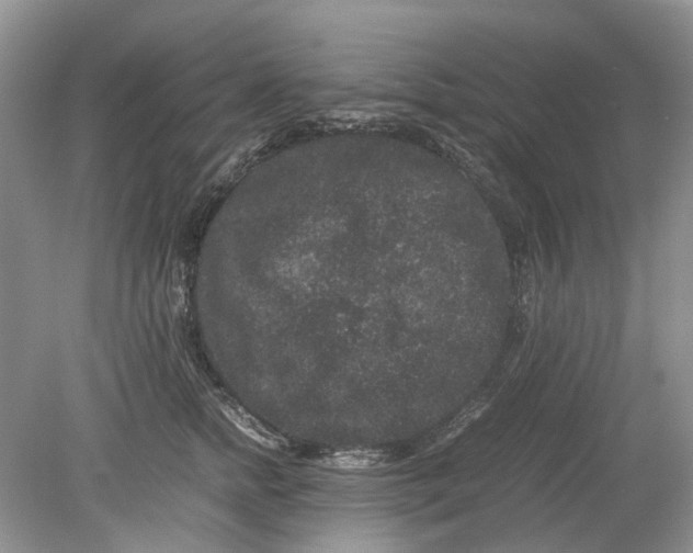 X0000078860758200612041932