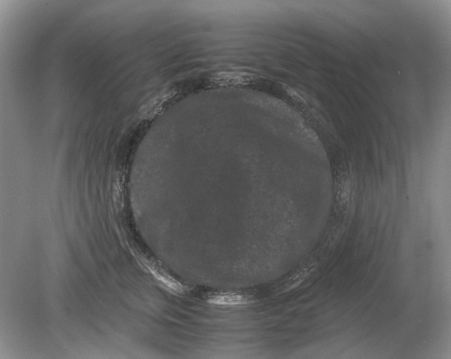 X0000078860759200612041932