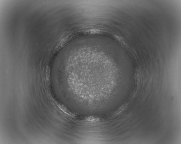 X0000078860760200612041932