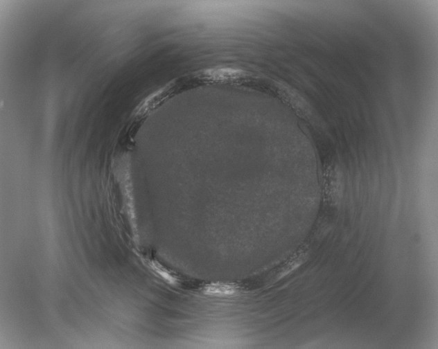 X0000078860762200612041932