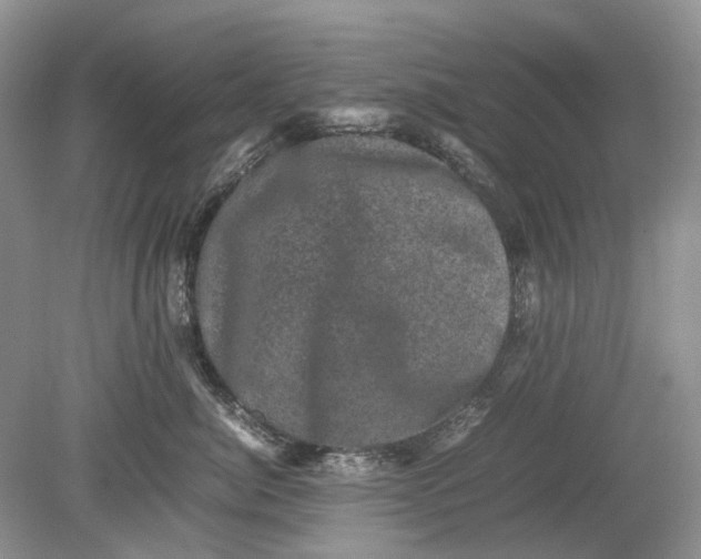 X0000078860764200612041932