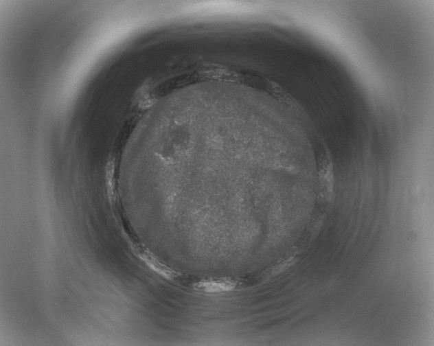 X0000078860765200612041932