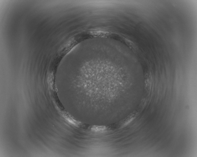 X0000078860767200612041932