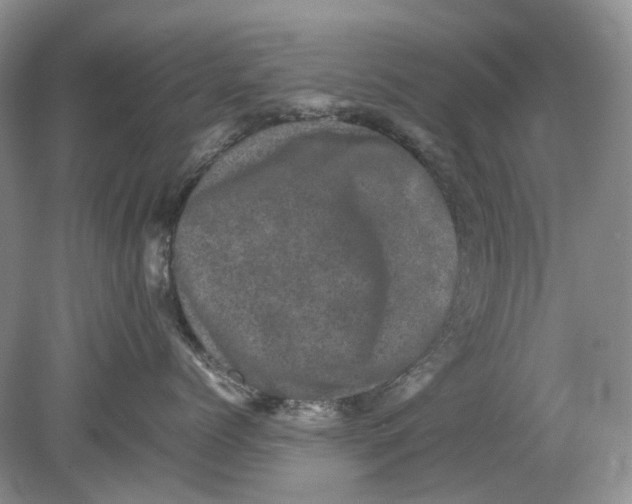 X0000078860768200612041932