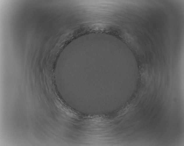 X0000078860769200612041931