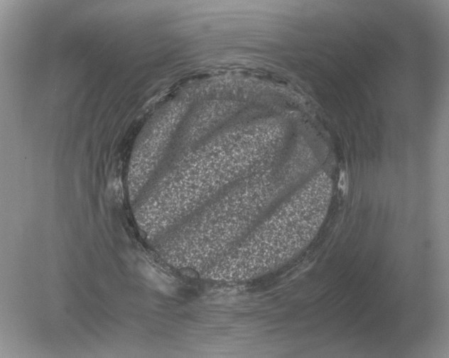 X0000078860771200612041931