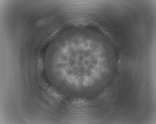 X0000078860772200612041931