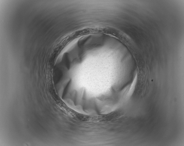 X0000078860773200612041931