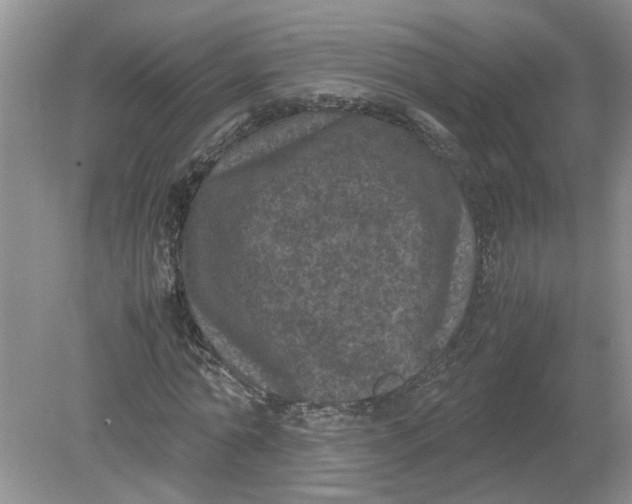 X0000078860774200612041931