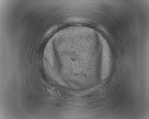 X0000078860775200612041931