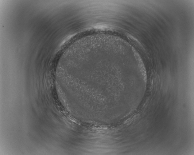 X0000078860776200612041931