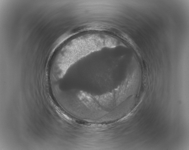 X0000078860779200612041931