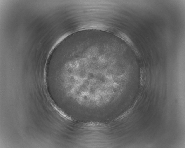 X0000078860780200612041931