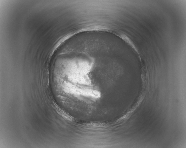 X0000078860781200612041931