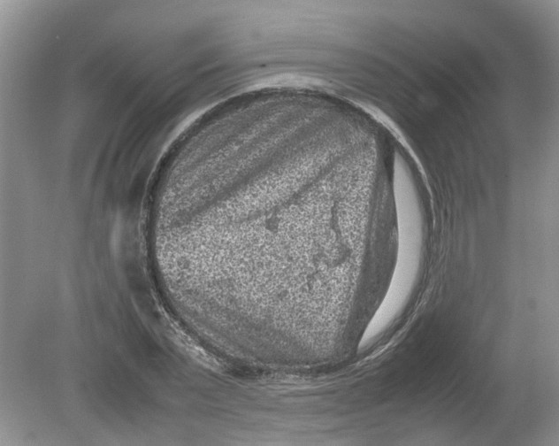 X0000078860783200612041931