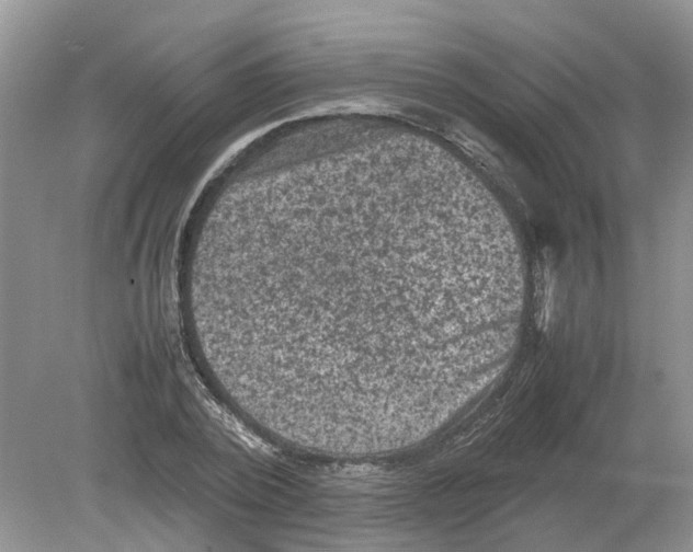 X0000078860784200612041931