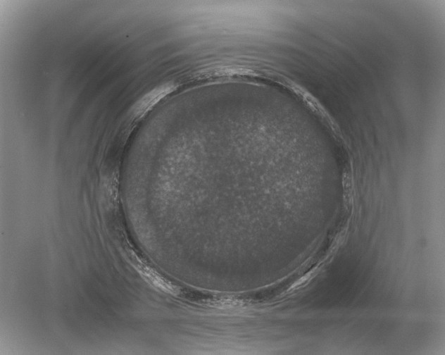 X0000078860785200612041931