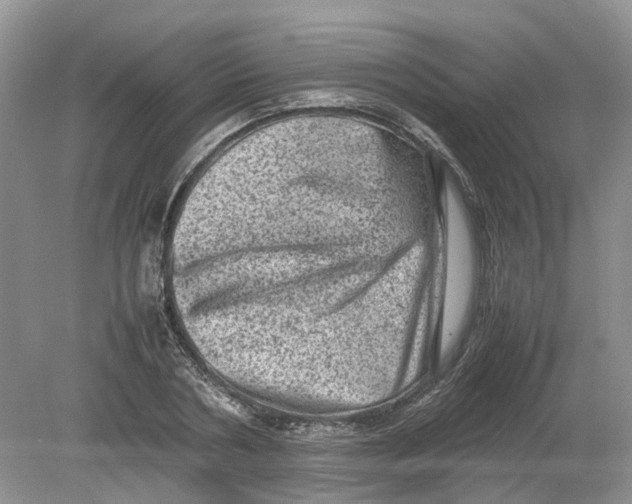 X0000078860786200612041931