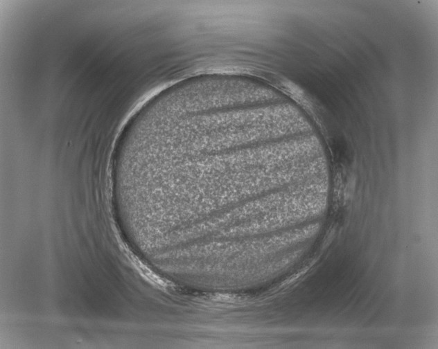 X0000078860787200612041931