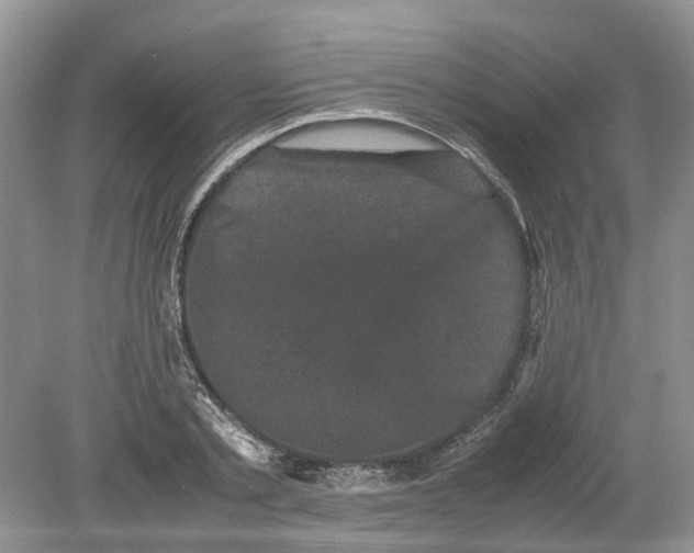 X0000078860789200612041931